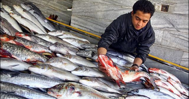 Azərbaycanda iki növ balıq bahalaşdı – SƏBƏB
