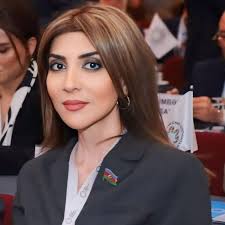 Günay Ağamalı Ana Vətən Partiyasının sədri seçilib