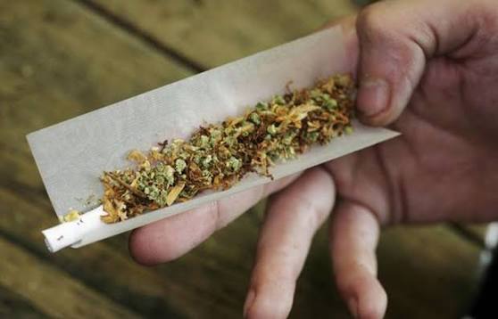 21 kq zərərli maddə aşkarlandı