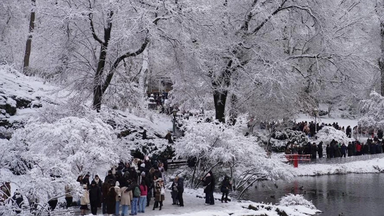 Nyu-Yorkda 13 gün davam edən şaxta: 18 ölü
