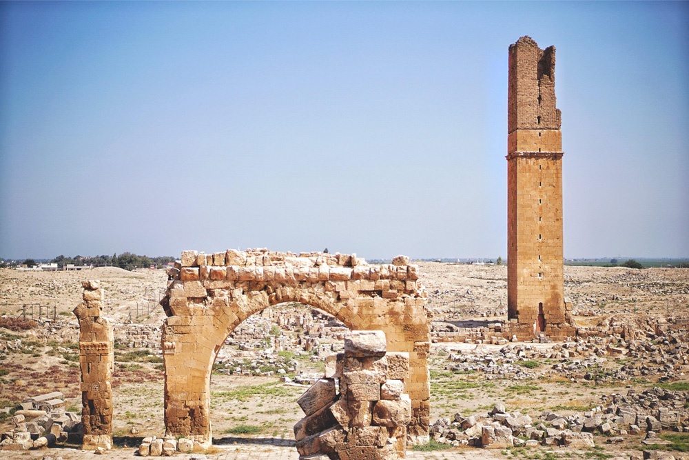 Dünyanın ilk universiteti harada və nə vaxt yaradılıb?